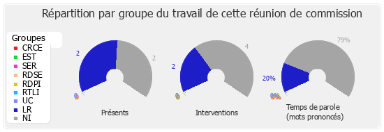 Répartition par groupe du travail de cette réunion de commission