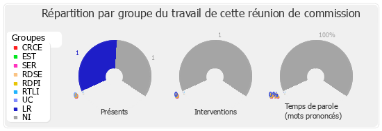 Répartition par groupe du travail de cette réunion de commission