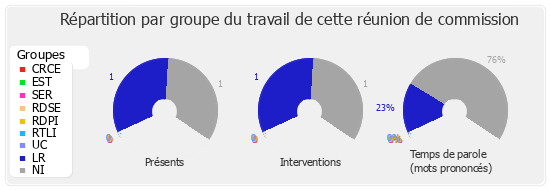 Répartition par groupe du travail de cette réunion de commission