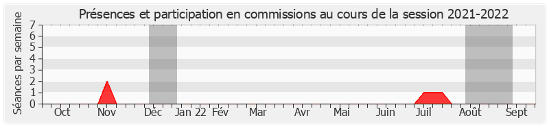 Participation commissions-20212022 de Jean-Jacques Panunzi